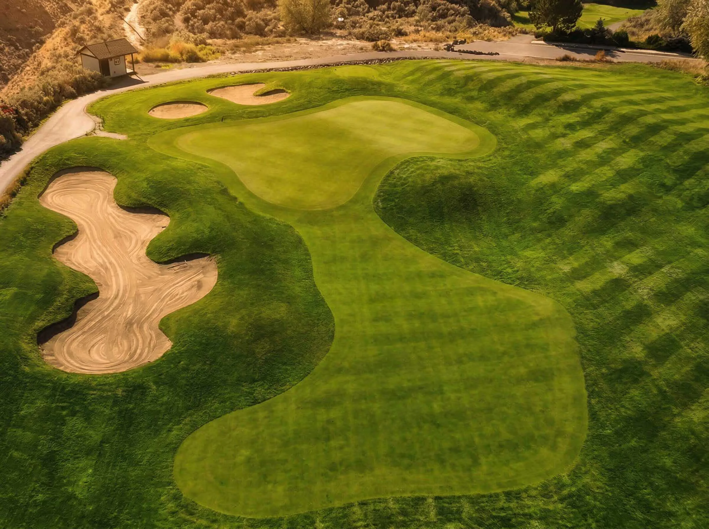 Elevated view of sculpted green with surrounding bunkers at Bighorn Golf Kamloops